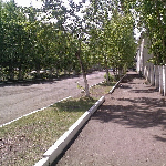Улица "Торговая"